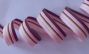 assorted colors grosgrain stripes ribbon